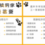 新手飼主必修課2/4：飼養成本大解析：毛小孩一年的花費是多少？